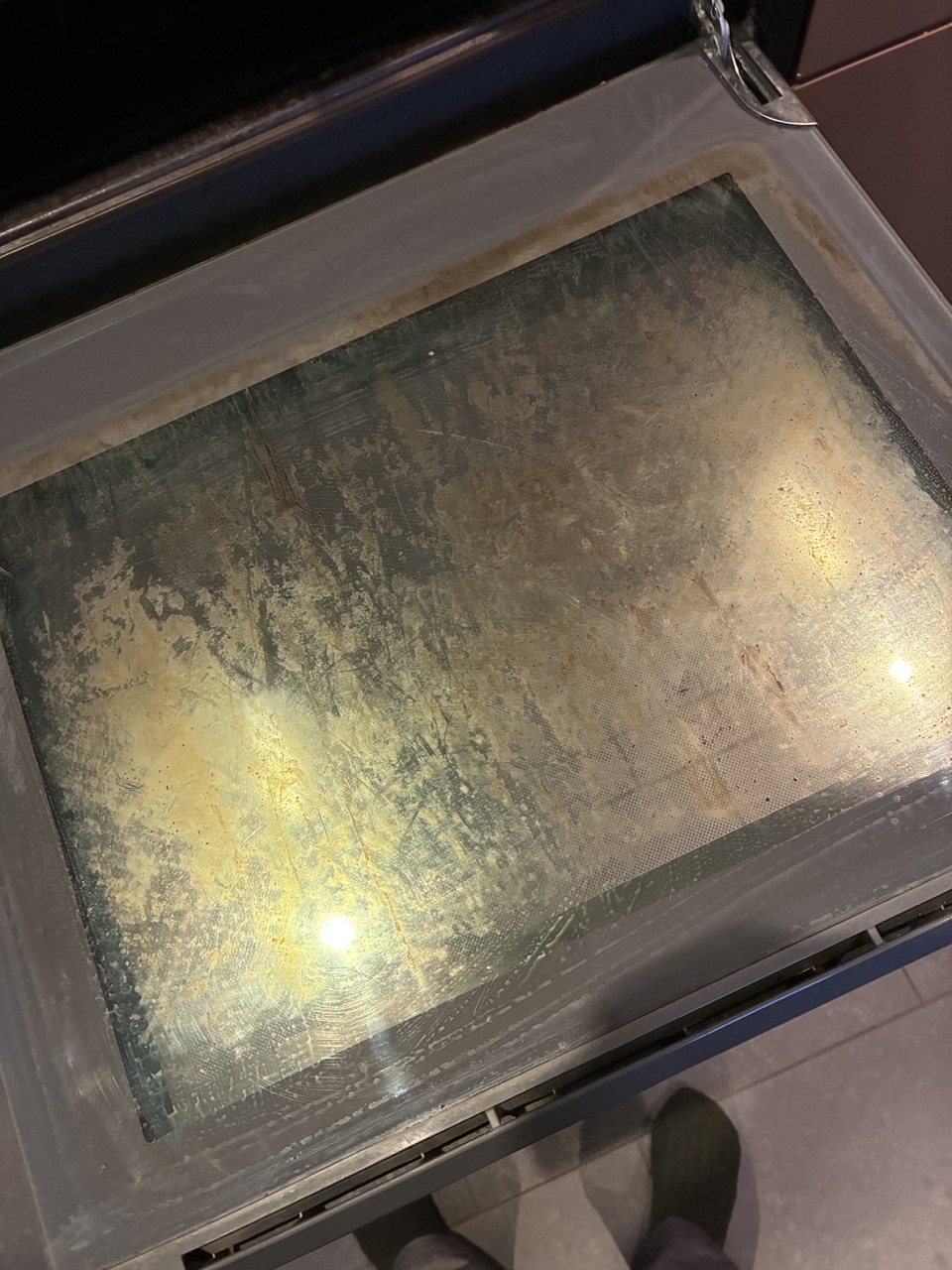 Gro%C3%9F%20%28IMG_0974%29